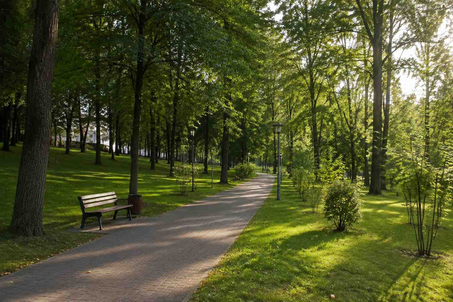 https://smolensk.blago-s.ru/storage/app/uploads/public/6a7/eef/ed2/6a7eefed2af22038960370.jpg